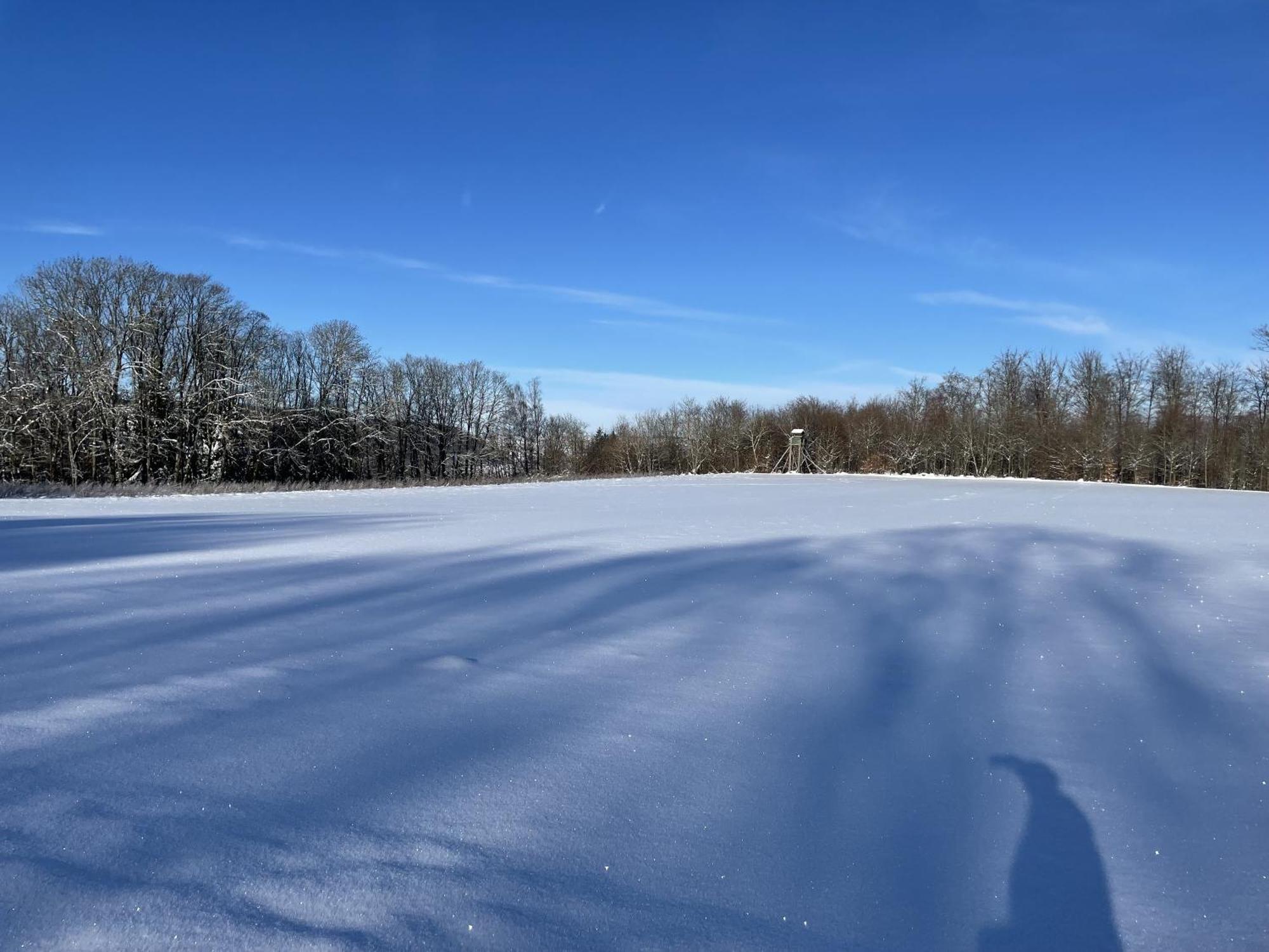 Gittas Paradiesperle Niederdreisbach 외부 사진