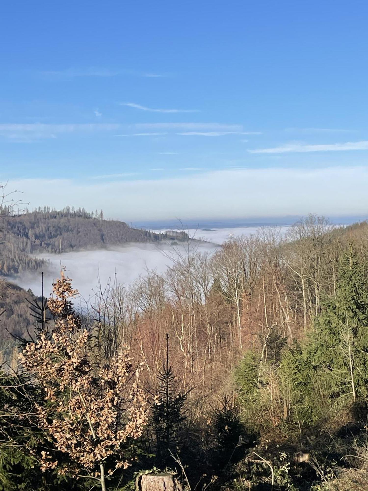Gittas Paradiesperle Niederdreisbach 외부 사진