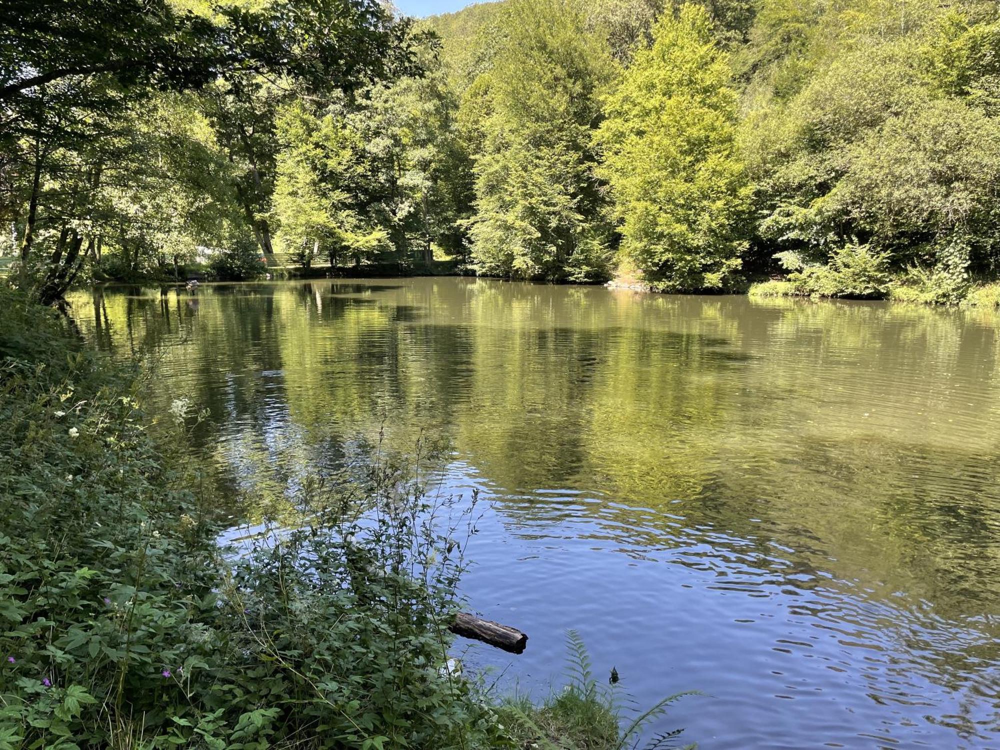 Gittas Paradiesperle Niederdreisbach 외부 사진